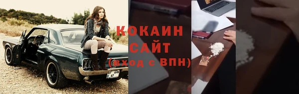 дживик Абаза