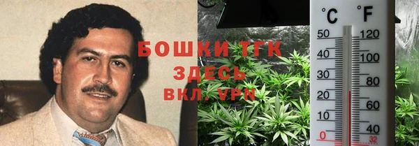 дживик Абаза